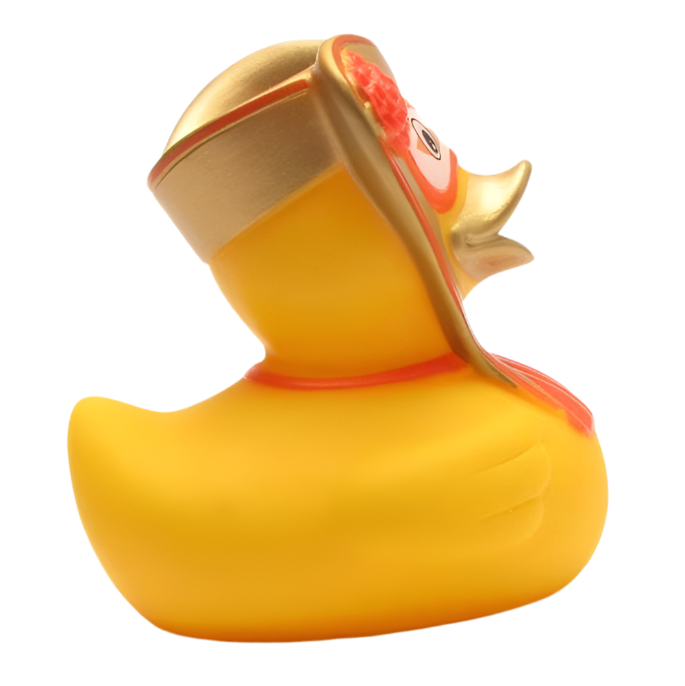 Canard Carnaval de Venise Homme