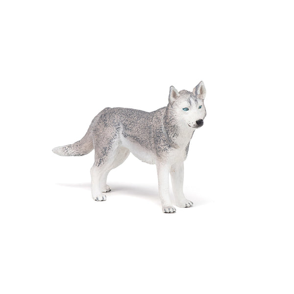 Figurine Husky de Sibérie Papo - chien ou chat