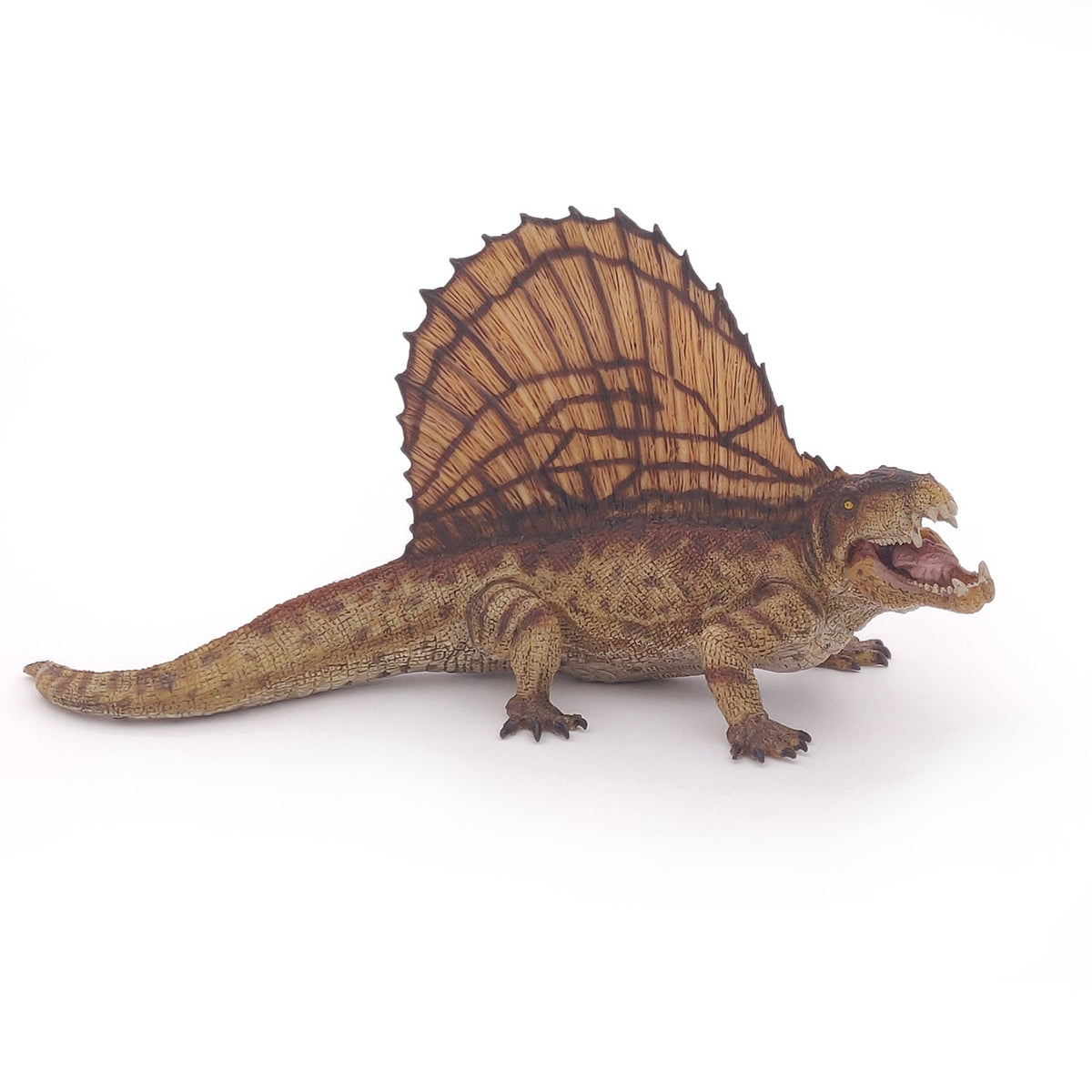 Dimetrodon Figure