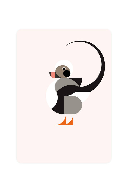 Postcard with Ice Duck