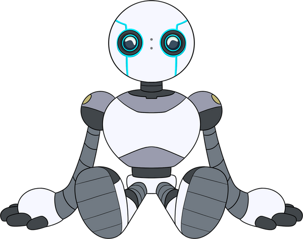 Le robot sauvage en peluche (23 cm)