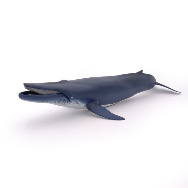 Figurine Baleine bleue Papo - animal marin