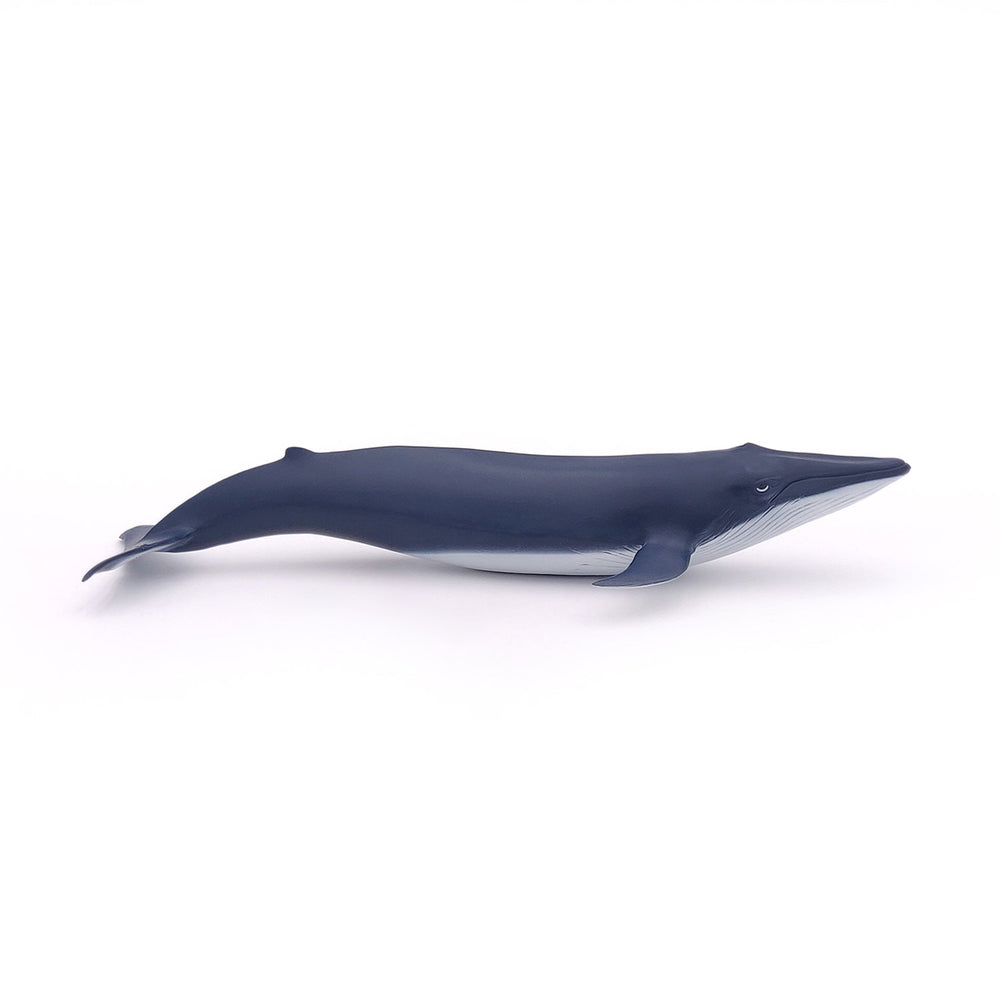 Baby Blue Whale Figurine