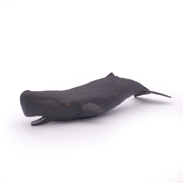 Figurine Bébé cachalot Papo - animal marin