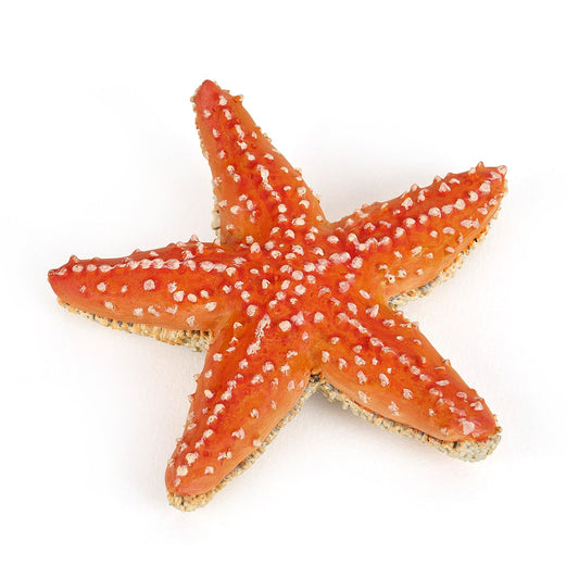 Figurine Etoile de mer