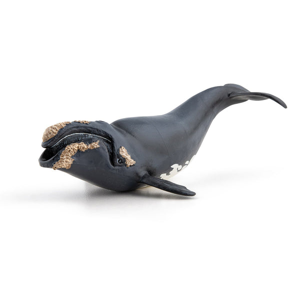 Figurine Baleine franche Papo - animal marin