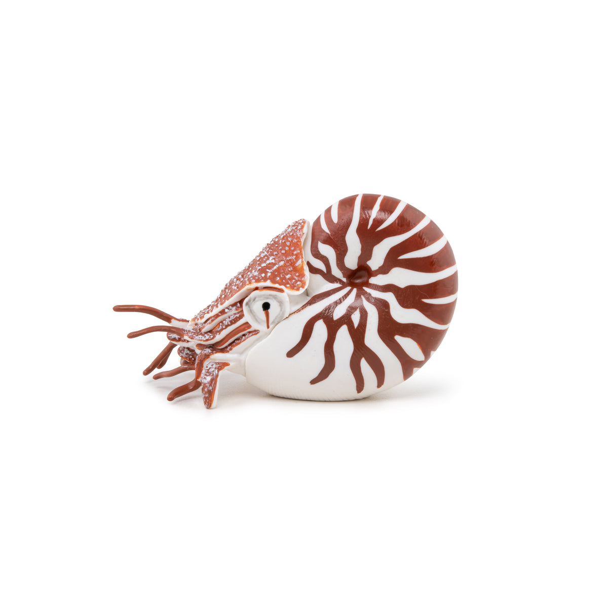 Nautilus Figurine