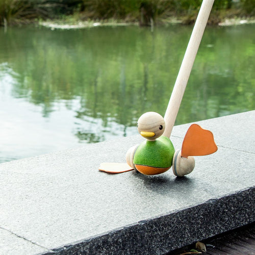 Push-along toy duck