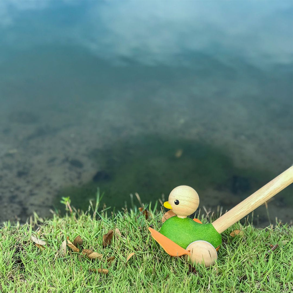 Push-along toy duck