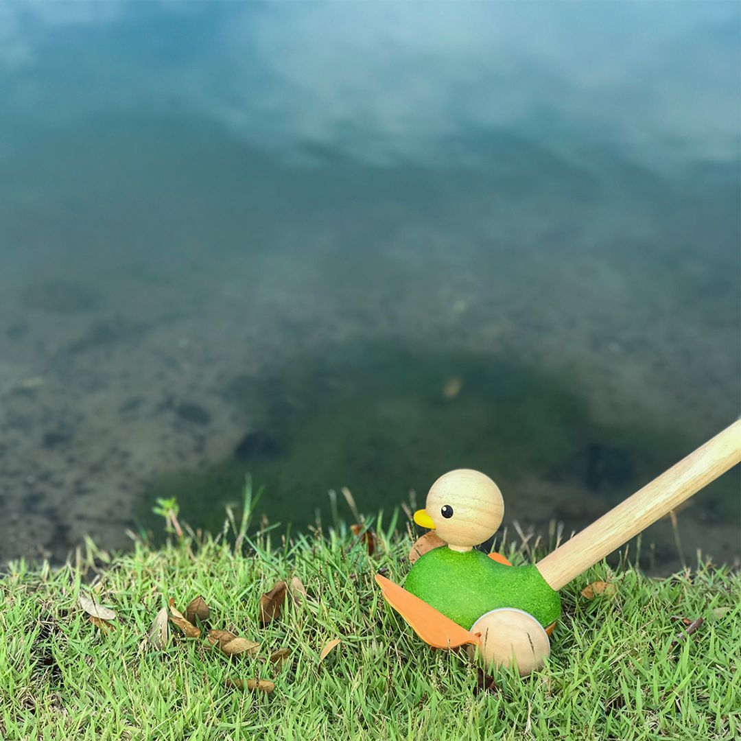 Push-along toy duck