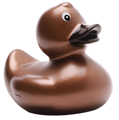 canard classique bronze