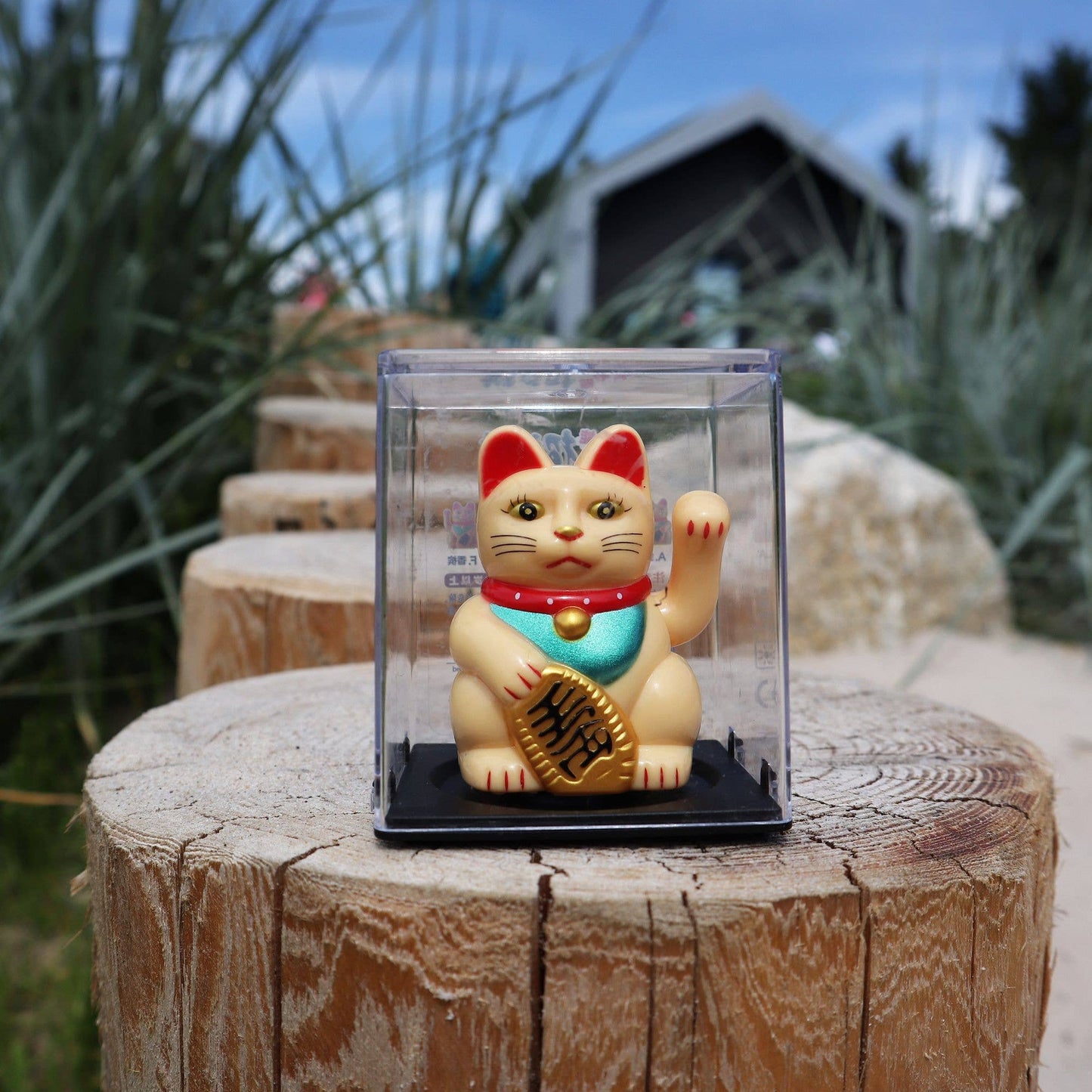 Lucky solar beige mini cat 5cm