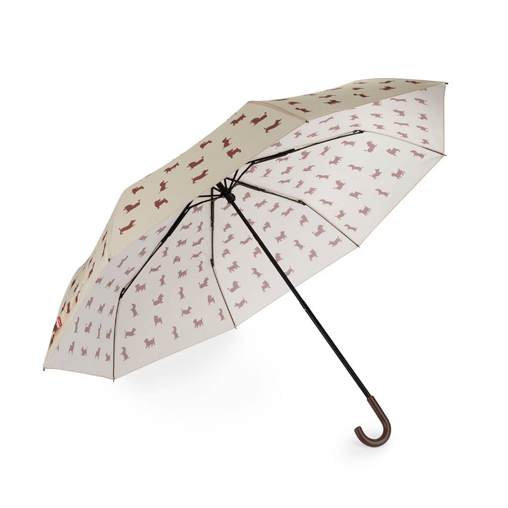Parapluie Chien Puppymbrella
