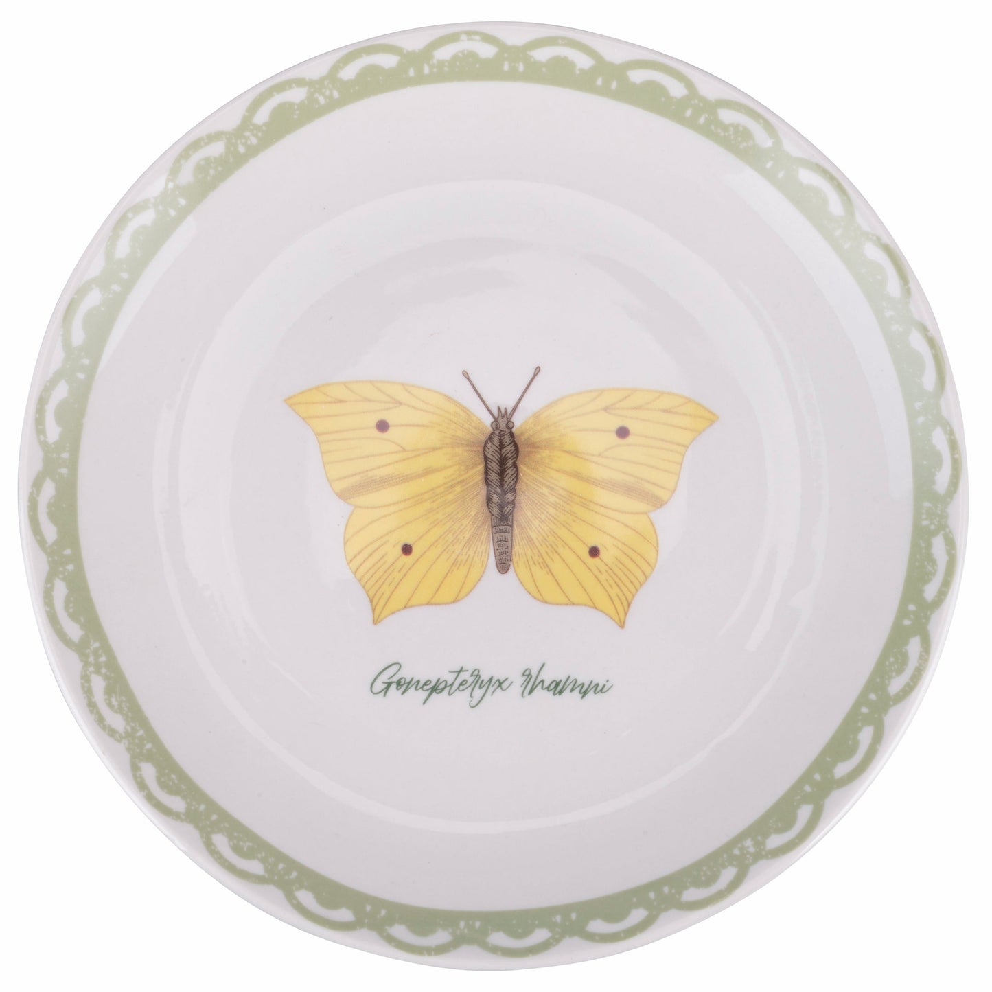BOTANIST TABLE 18PCS - 5921794