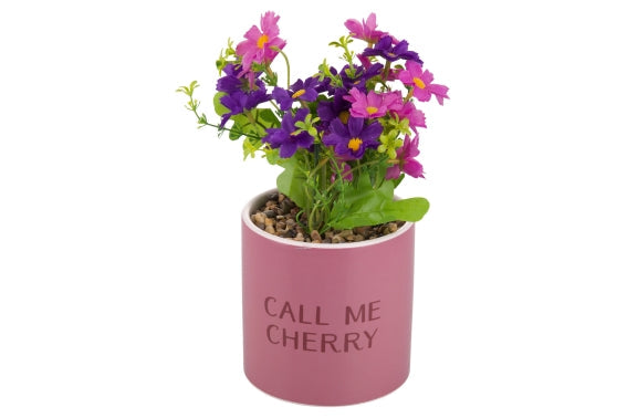 CALL ME CHERRY SEEDLING 10X20CM - 5923860