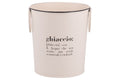VICTIONARY ICE BUCKET D19XH21CM - 5925780