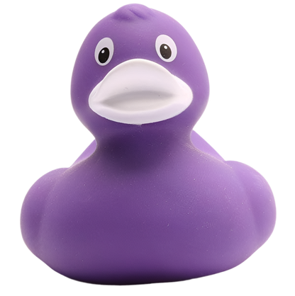 canard classique violet