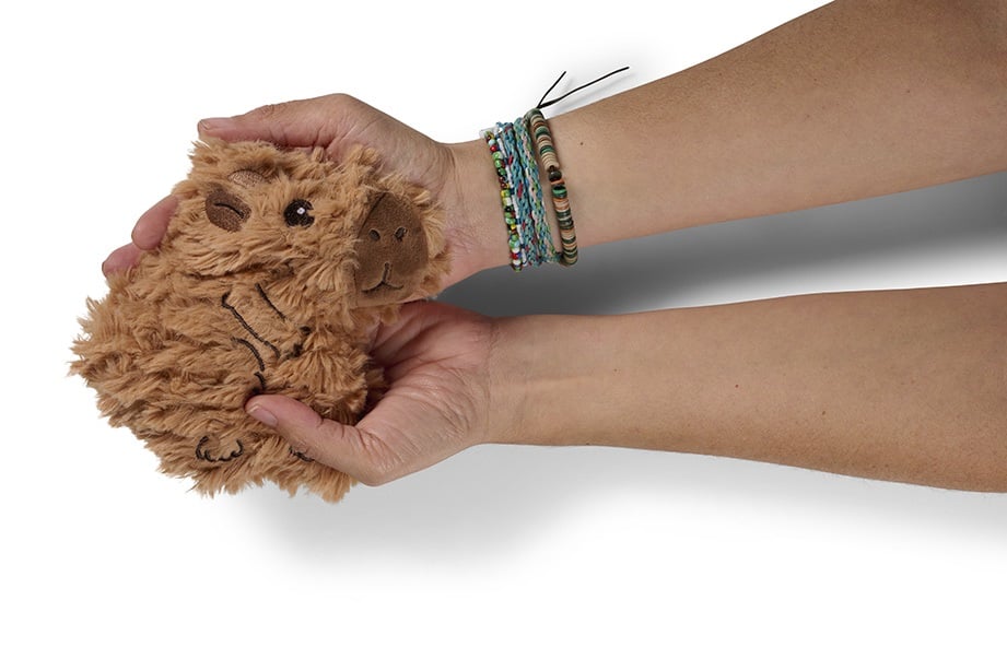 pocket pal capybara bitten