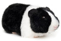 Peluche Cochon Dinde Noir et Blanc