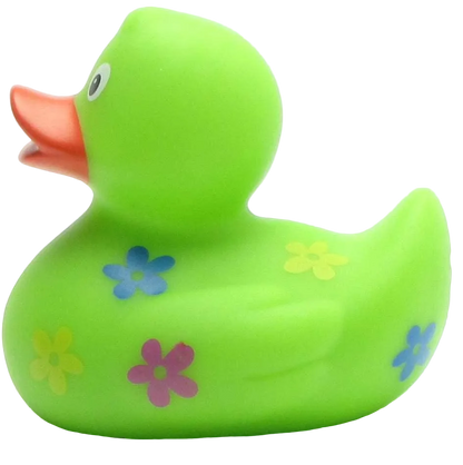 Floral Duck