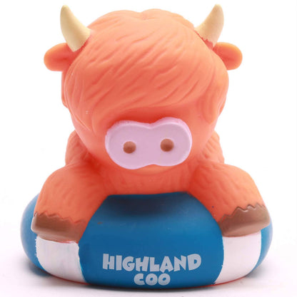 Vache des Highlands sur Bouée