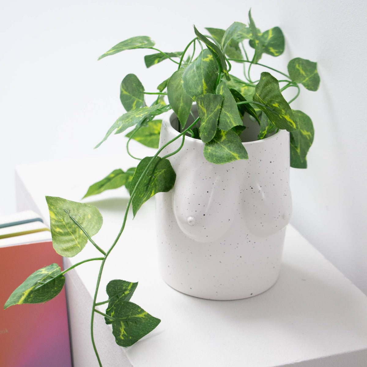 Vase Seins Blancs