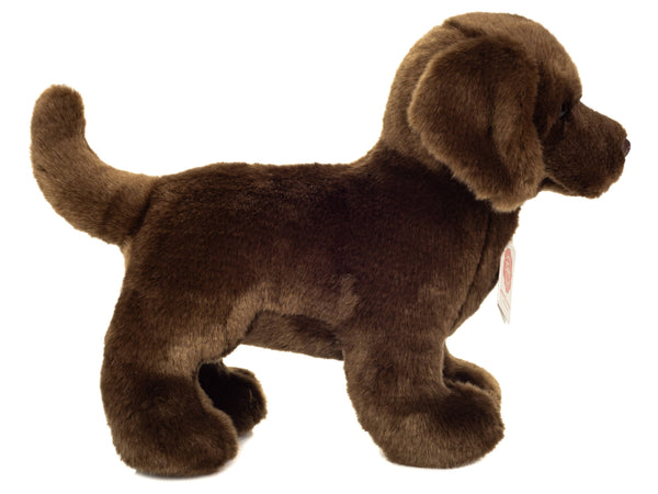 Peluche Labrador Brun Debout – 30 cm - Teddy Hermann