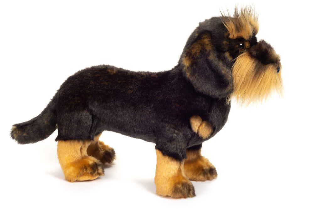 Standing Wire-Haired Dachshund Plush