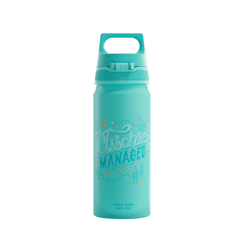 Gourde enfant WMB ONE Kids Harry Potter 0.6 L