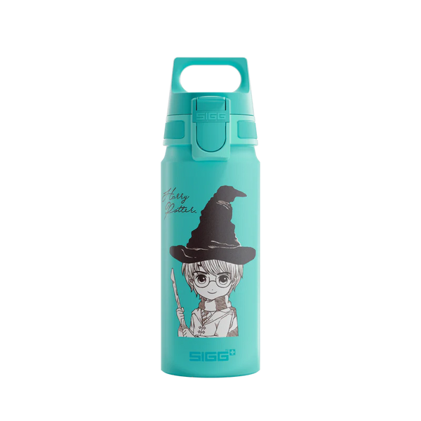 WMB ONE Kids Harry Potter 0.6 L Water Bottle 