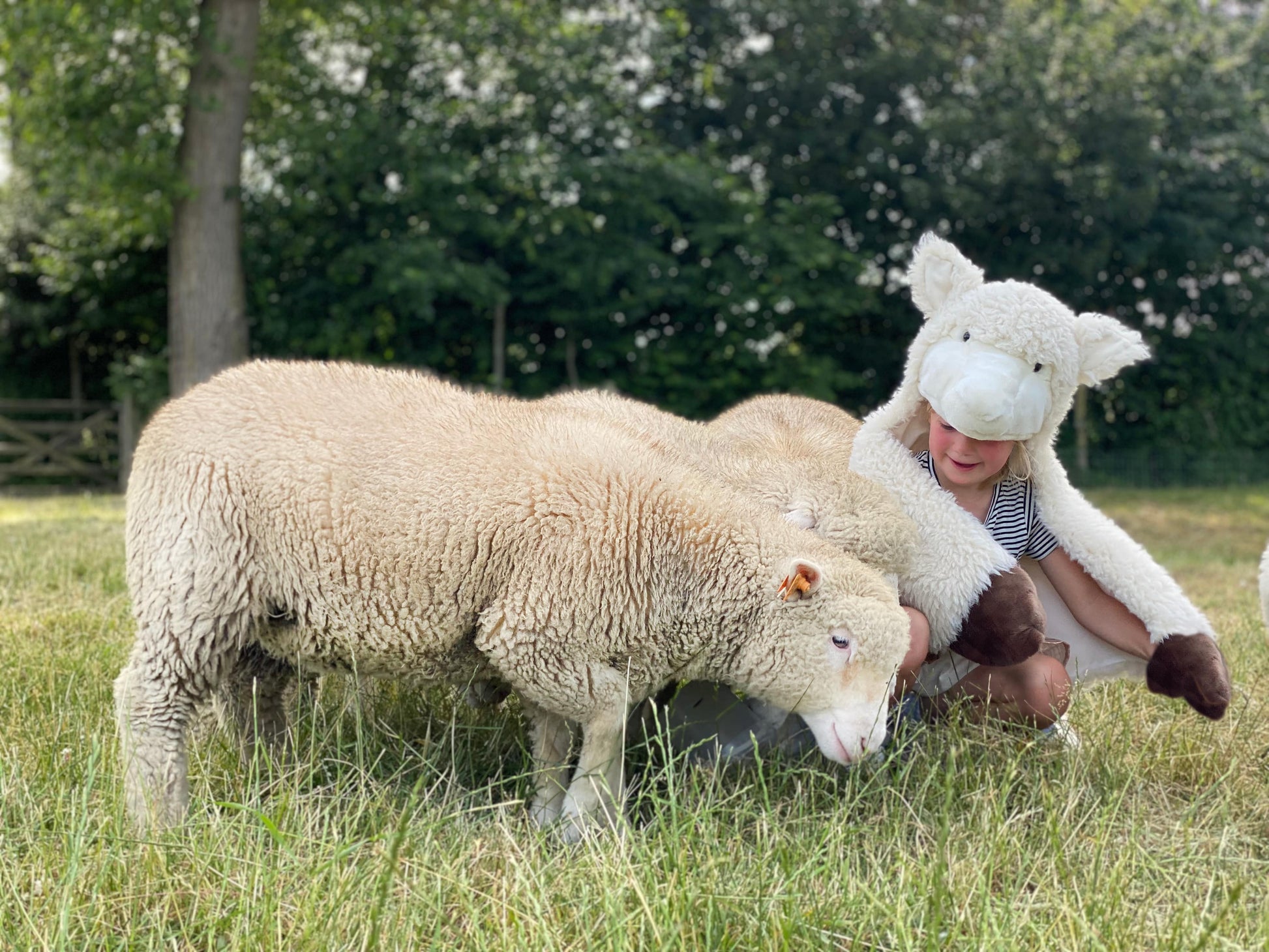 Déguisement d'enfant en mouton WILD & SOFT - Wild & Soft