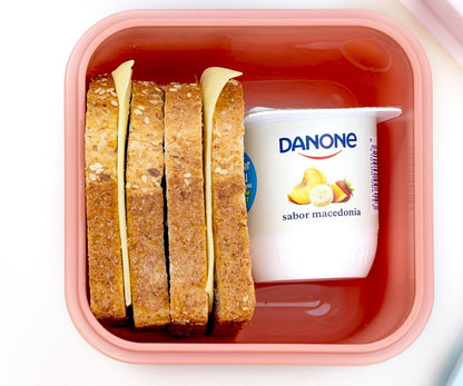 Large Animal Friends Lunch Box