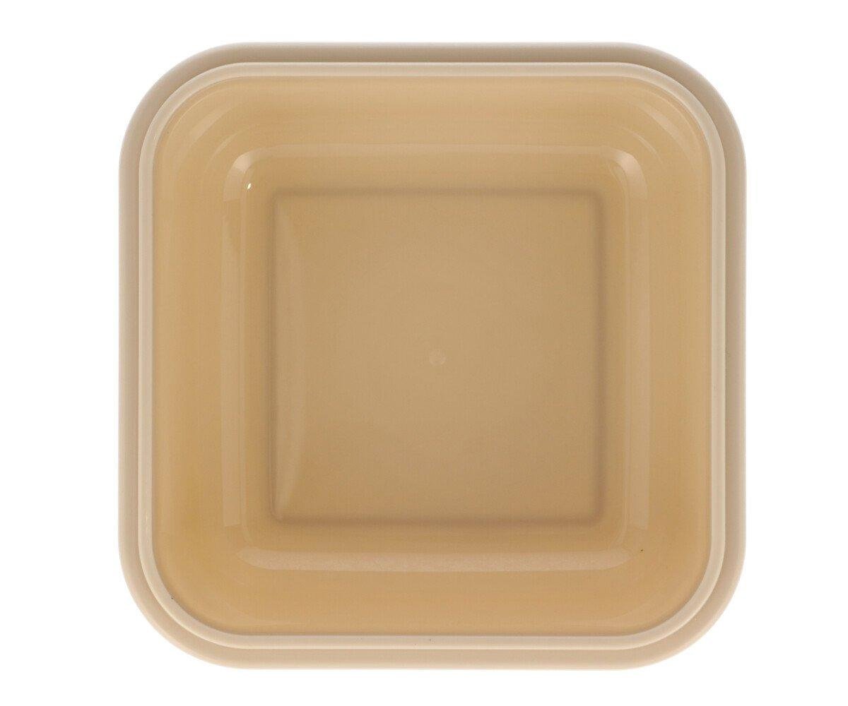 Large Animal Friends Lunch Box