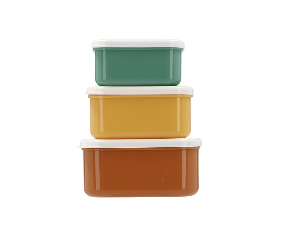 3 Savannah Snack Boxes