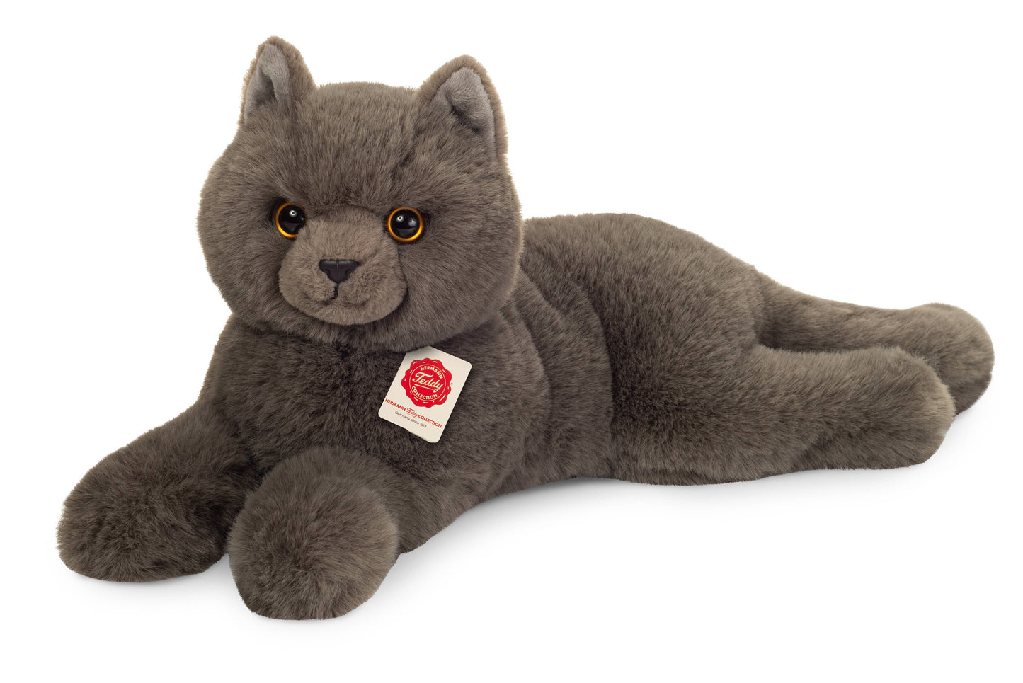 Plush Chartreux Cat lying down