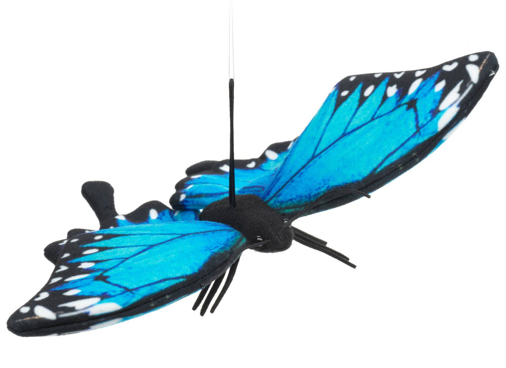 Peluche Papillon Bleu avec Boucle
