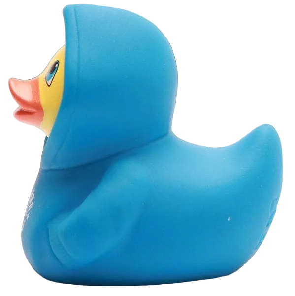 Duck Hoodie Scotland - Blue