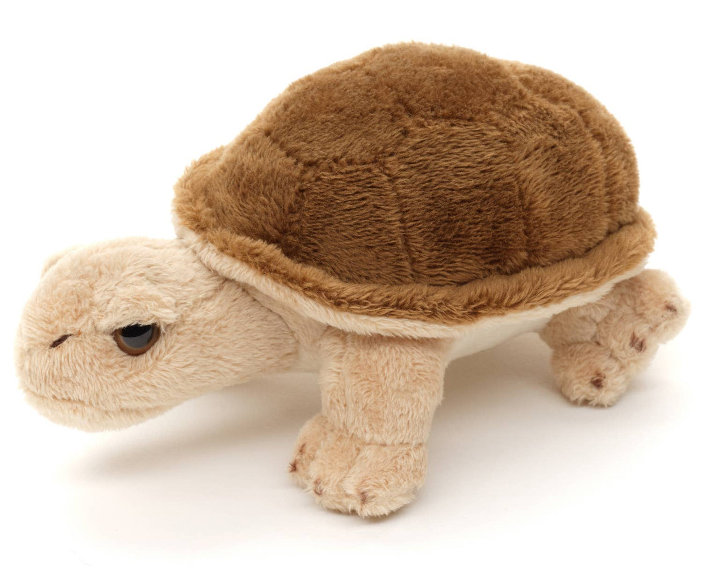 Turtle Plush