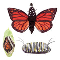 Marionnette à Main Papillon Monarque Métamorphosé