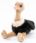 Peluche Autruche Oiseau