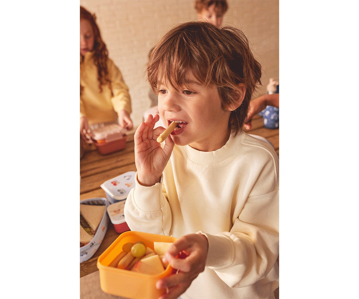 3 Boîtes à Déjeuner Nature Géométrique