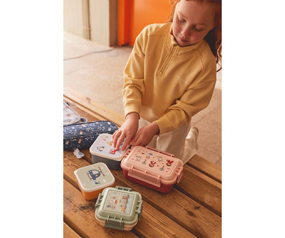 Magical Forest Lunch Box