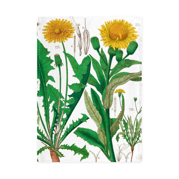 Hortus Botanicus Tea Towel with Dandelion Motif