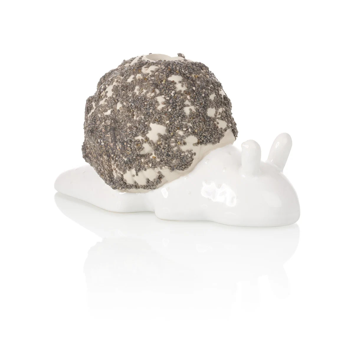 Planteur de chia Escargot
