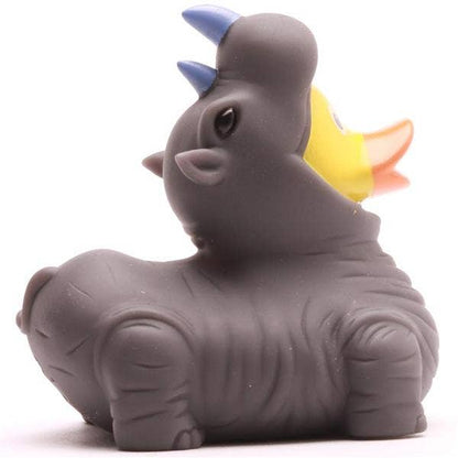 Canard rhinocéros