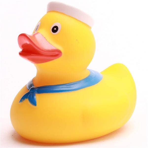 Sea Duck