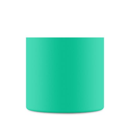 Clima Bottle | Mint - 500 ml