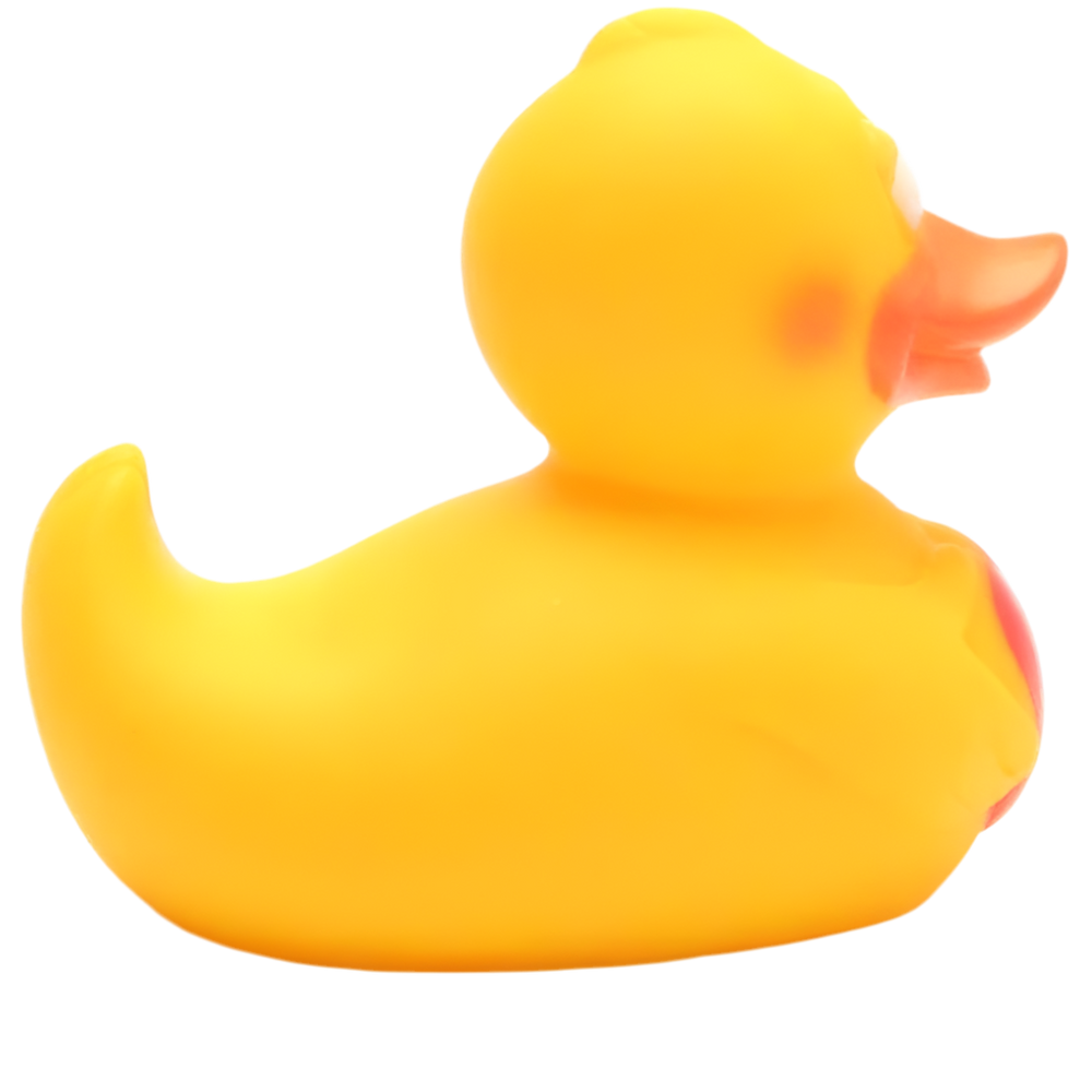 Duck with Heart