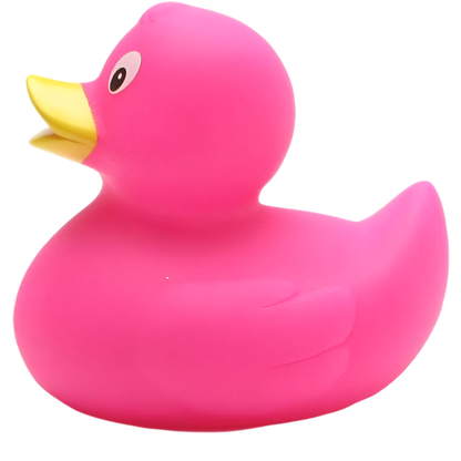 canard classique rose