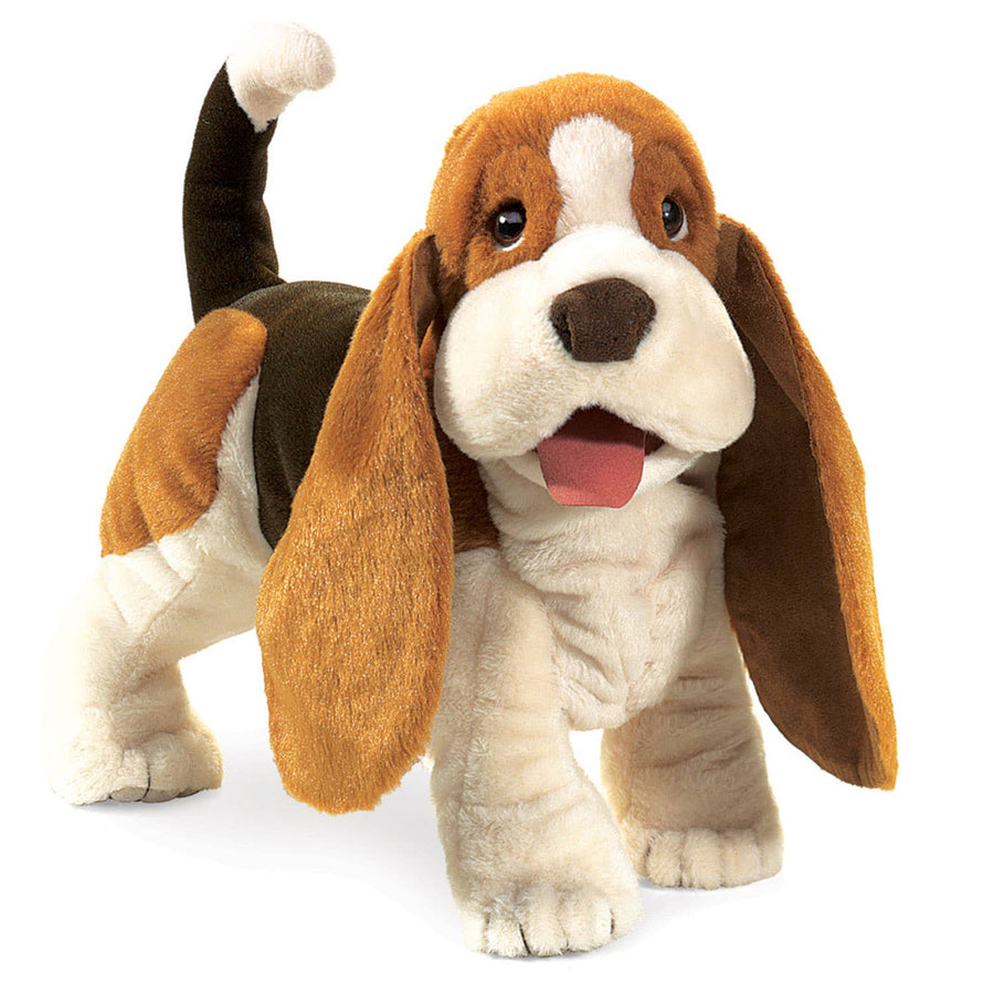 Basset Hound
